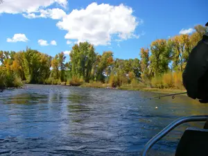 Gunnison-River