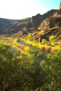 Owyhee_River_BLM