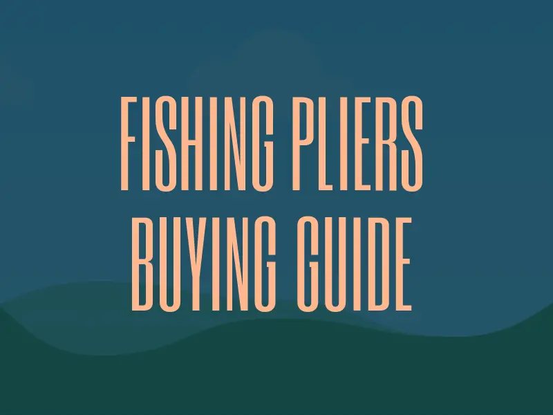 Best Value Fishing Pliers Guide