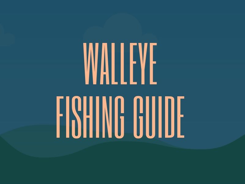 Walleye Fishing Tip Guide