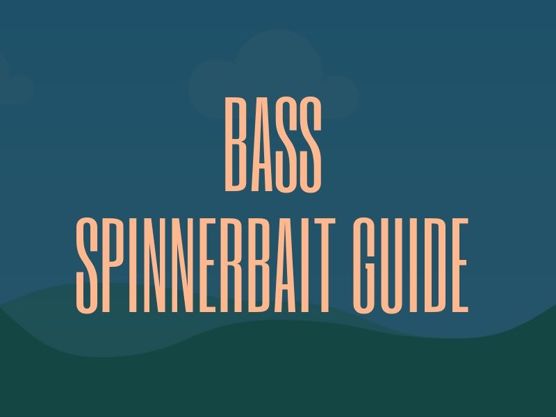 Best Bass Spinnerbait