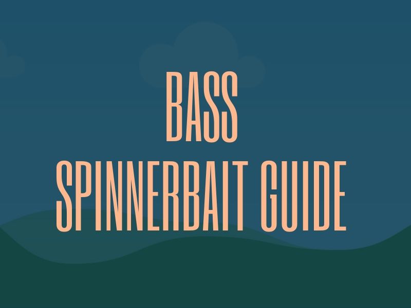 Best Bass Spinnerbait