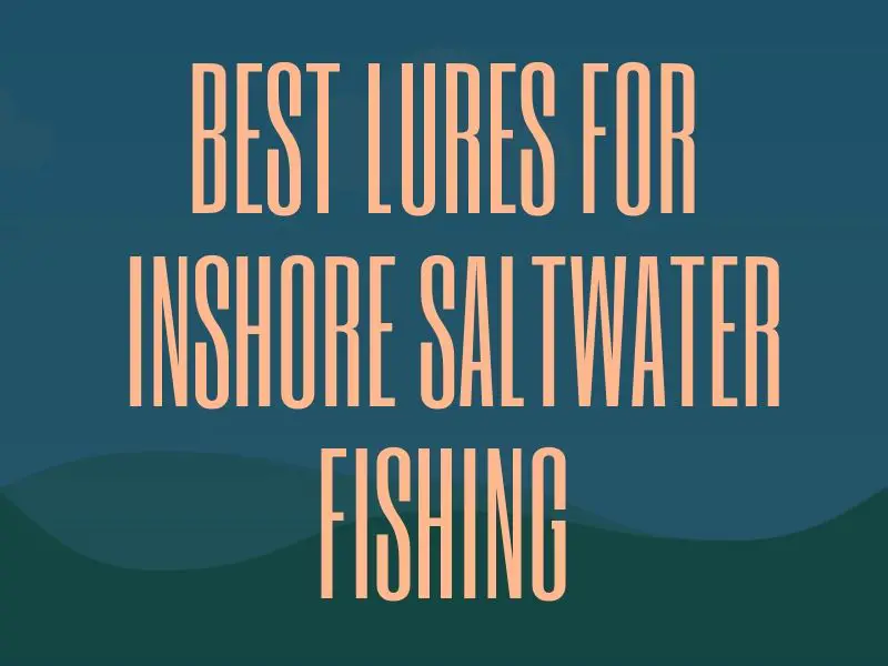 Best Lures for Inshore Saltwater Fishing