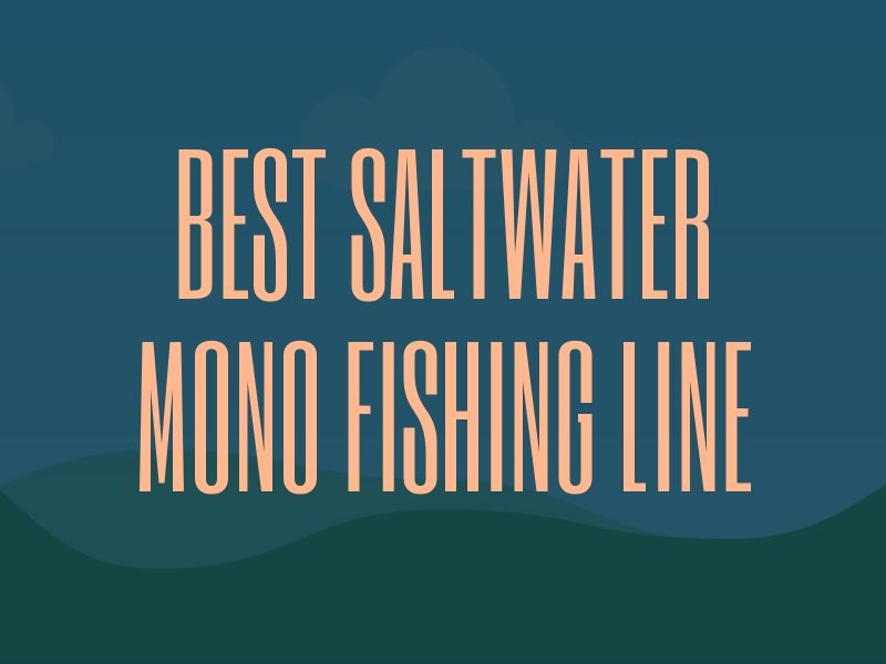 Best Mono Fishing Line for Saltwater