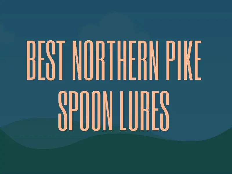 Best Pike Spoon Lures