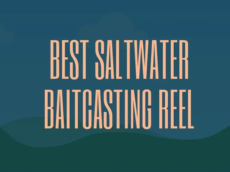 Best Saltwater Baitcasting Reel