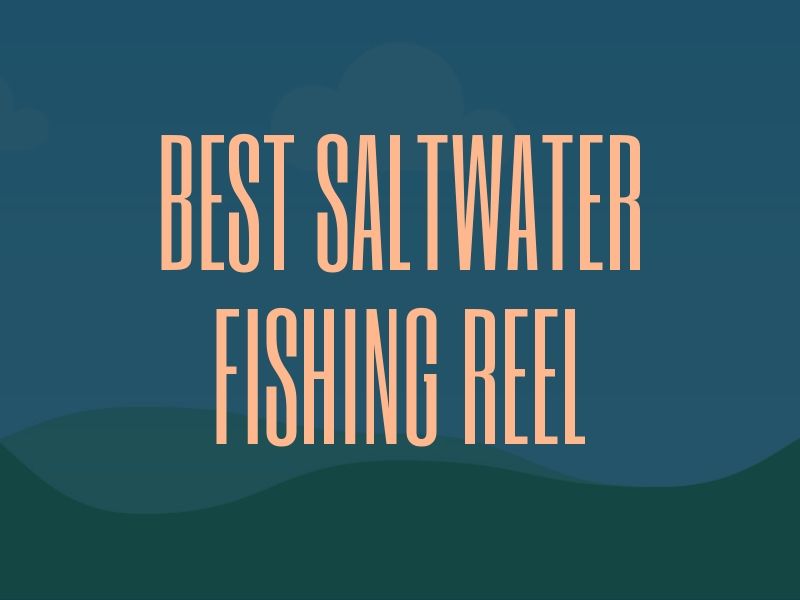 Best Saltwater Fishing Reel