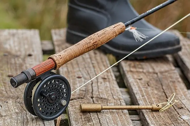 Best Saltwater Fly Reel Guide