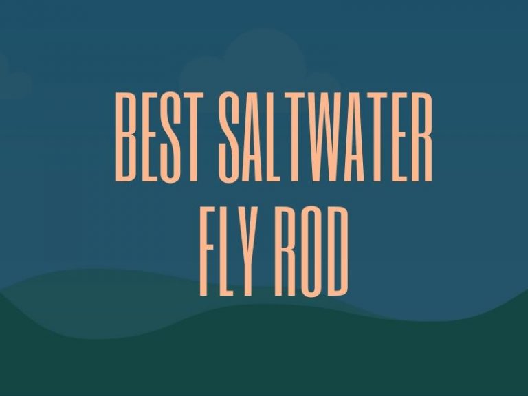 Best Saltwater Fly Rods Top 5 Fly Rods for the Money