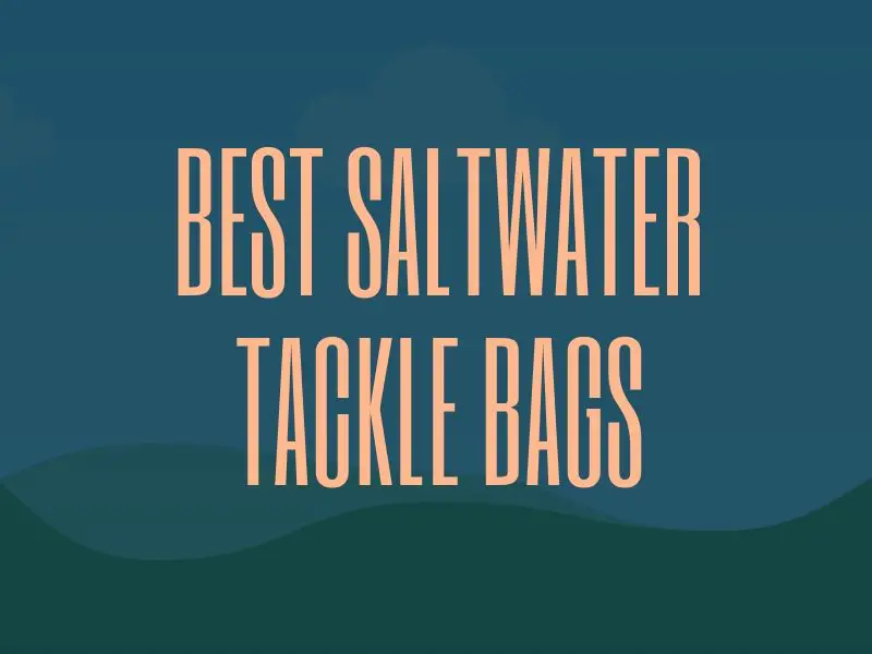 Best Saltwater Tackle Bags and Boxes