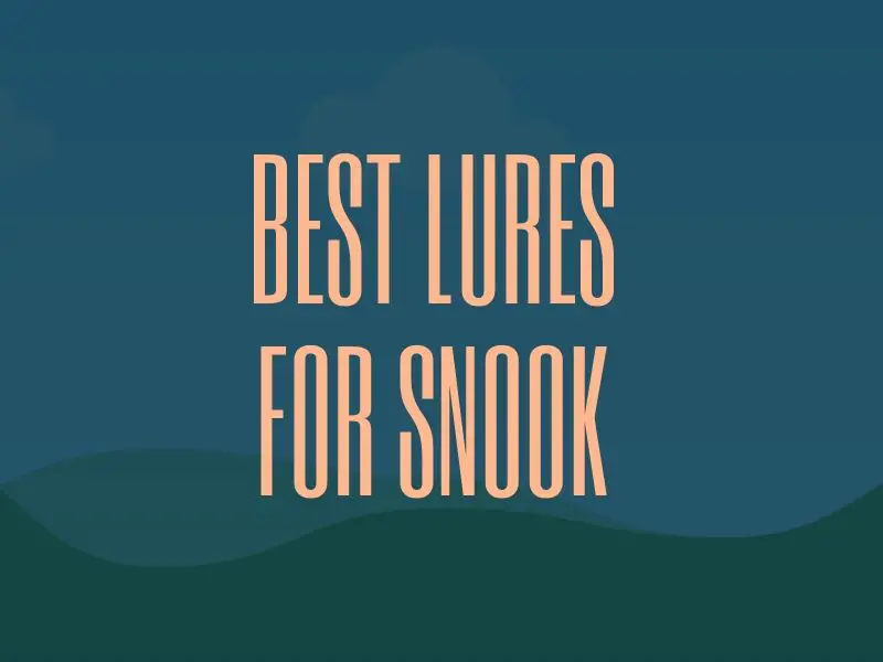 Best Snook Lures