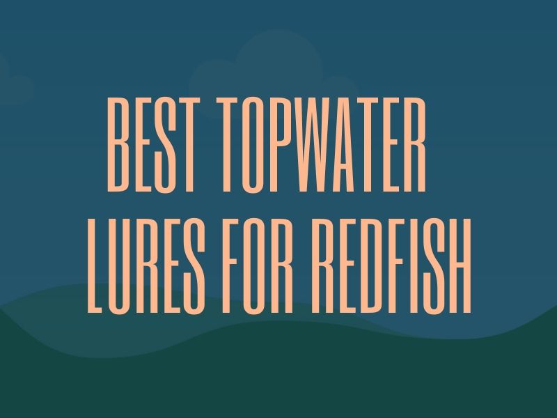 Best Topwater Lures for Redfish