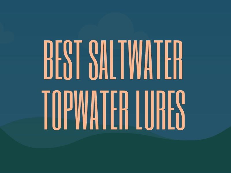 Best Topwater Lures for Saltwater Fishing