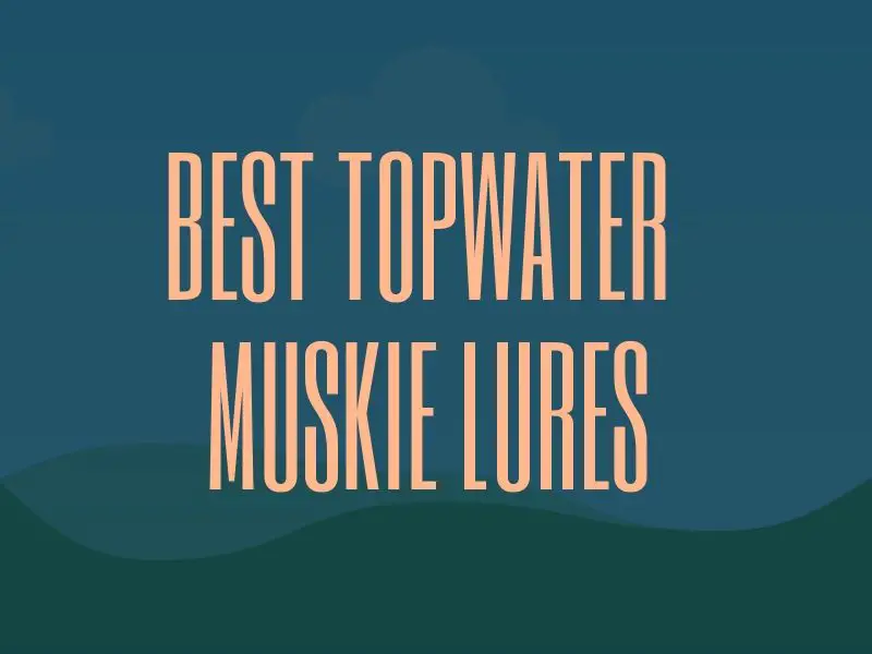 Best Topwater Muskie Lures