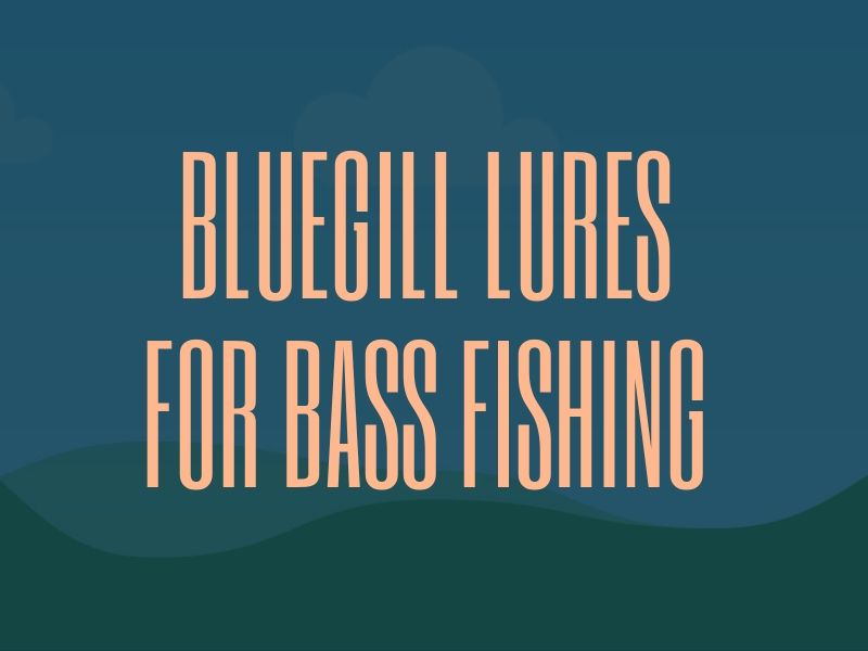 Bluegill Lures for Bass Fishing