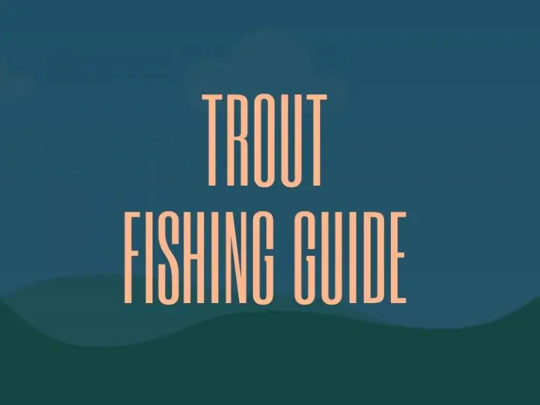 Trout Fishing Tips - Fishing Guide