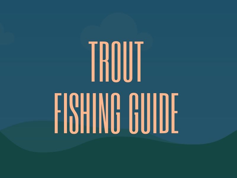 Trout Fishing Tips