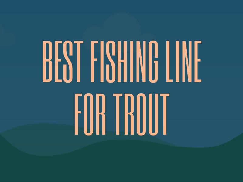 Best Fishing Line for Trout