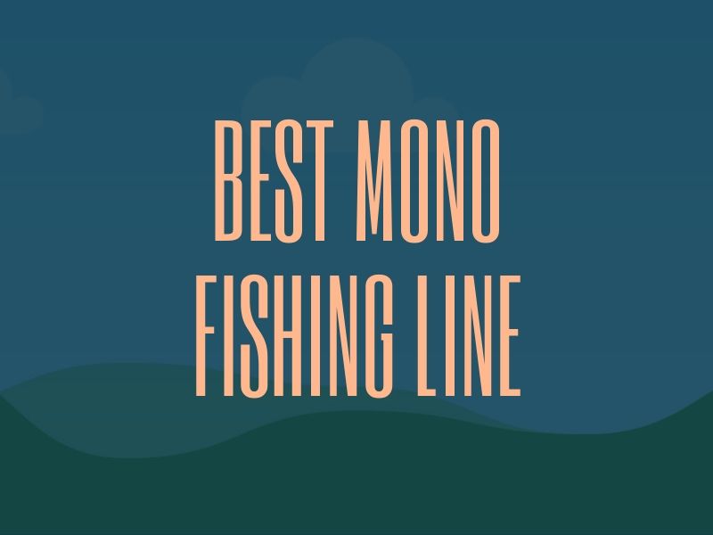 Best Mono Fishing Line Guide