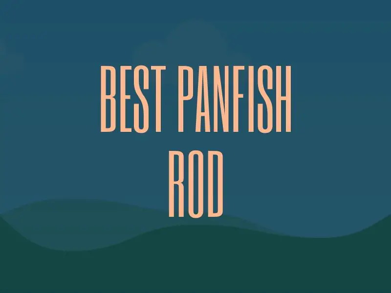Best Panfish Rod