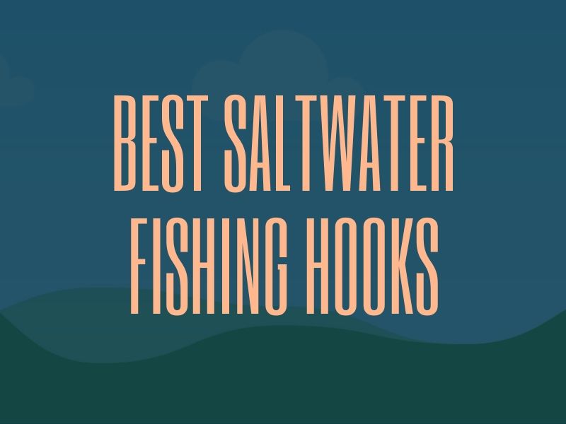 Best Saltwater Fishing Hooks