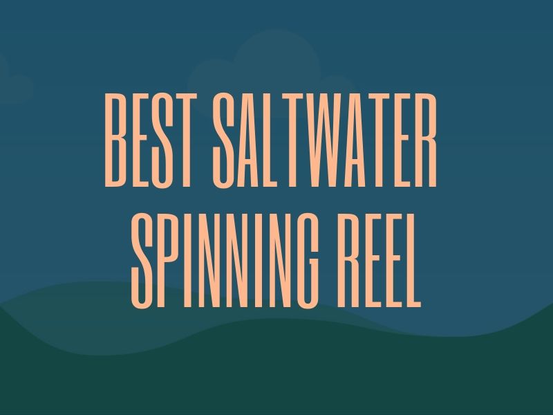 Best Saltwater Spinning Reel