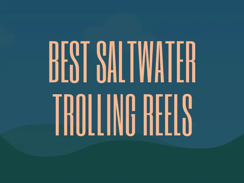 Best Saltwater Trolling Reel