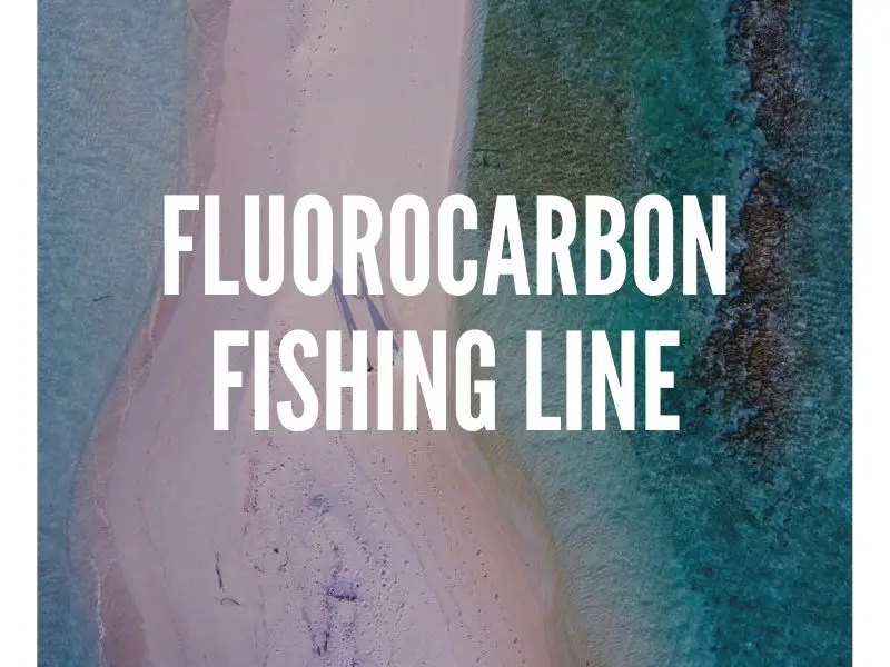 Fluorocarbon Fishing Line Guide