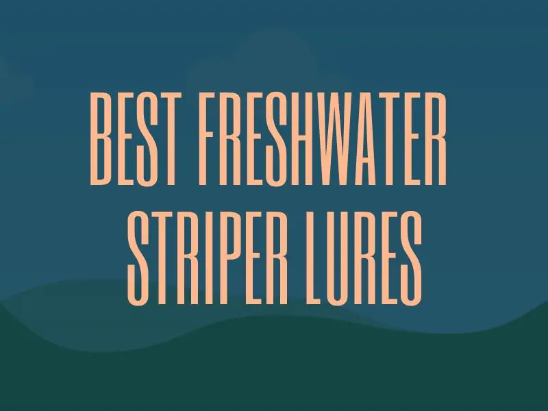 Recommended Freshwater Striper Lures