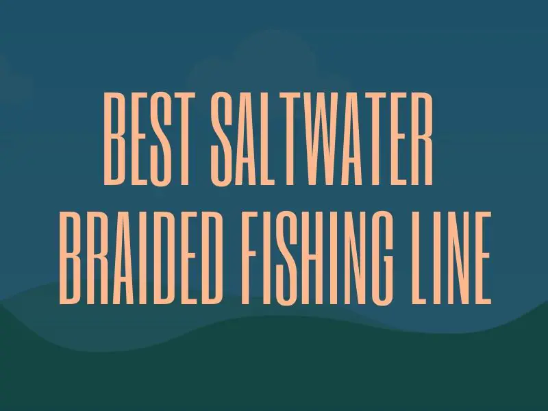 Saltwater Braided Fishing Line Guide