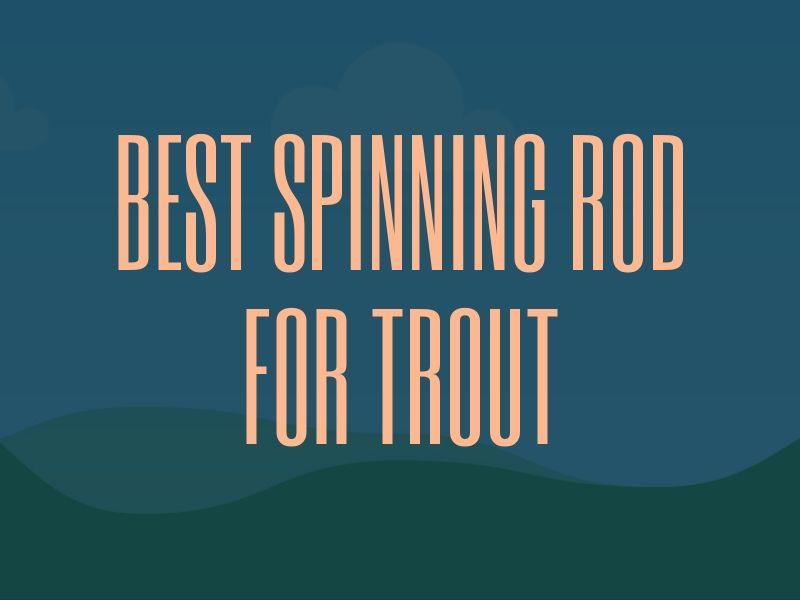 Spinning Rod for Trout Guide