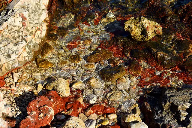 rockfish fishing areas