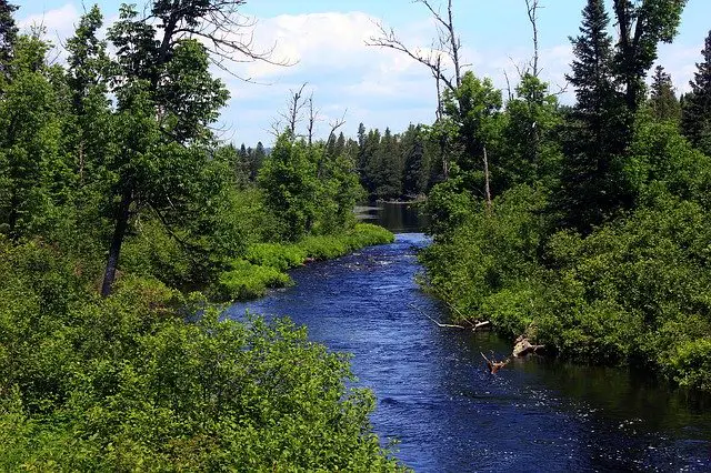 Best Minnesota Fishing