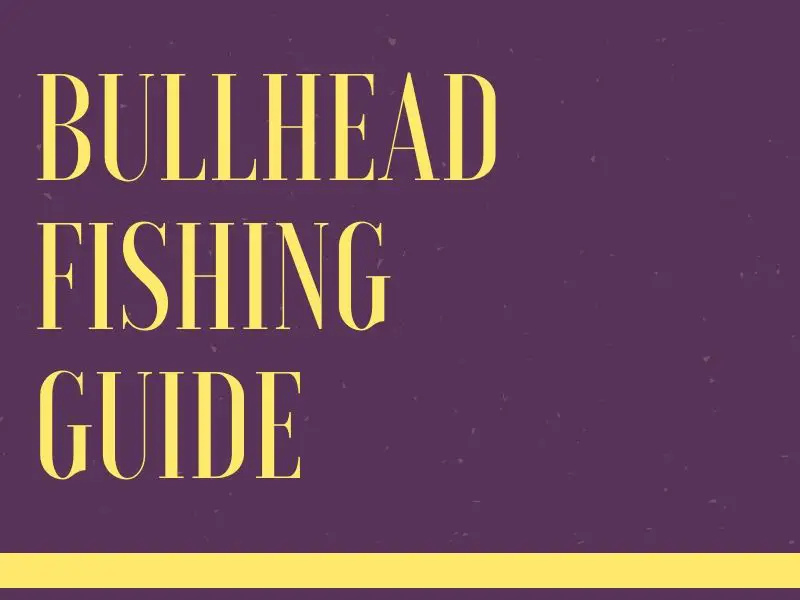 Bullhead Fishing Tips