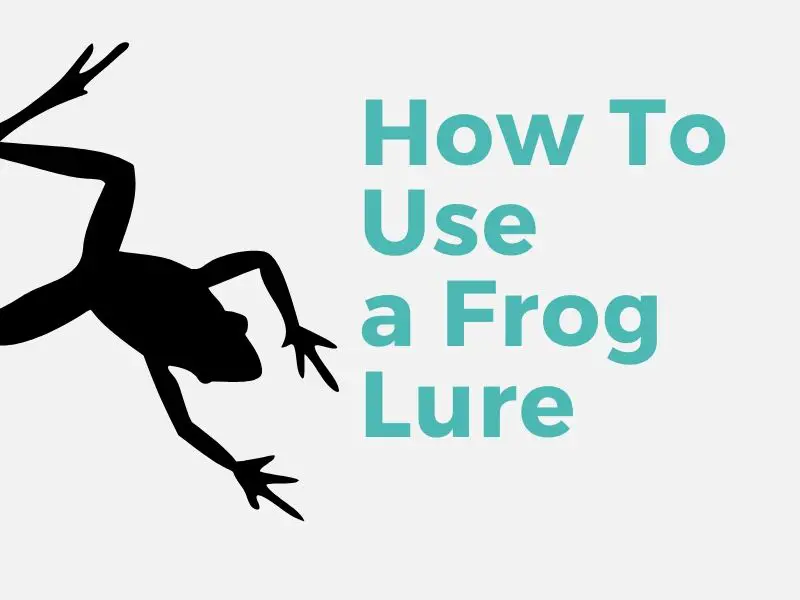 How To Use a Frog Lure