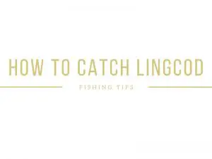 Lingcod Fishing Tips