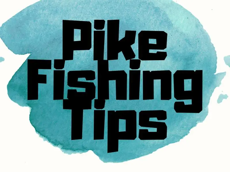 Pike Fishing Tips
