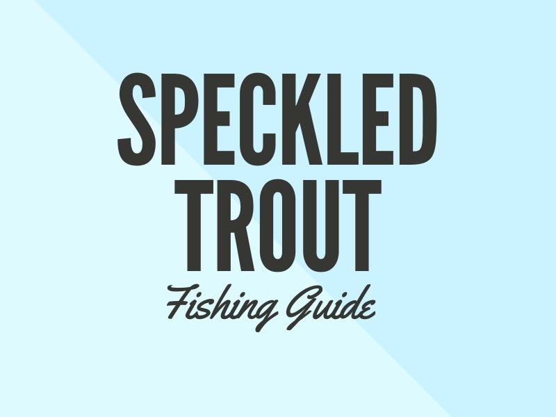 Speckled Trout Fishing Tips