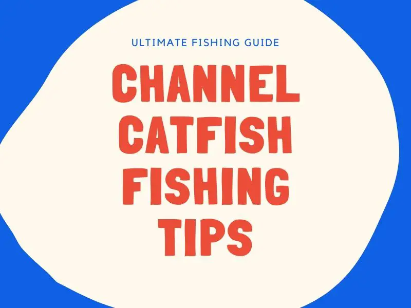 Channel Catfish Fishing