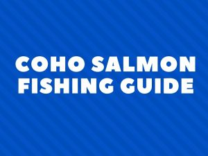 Coho Salmon Fishing Tips