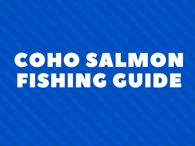 Coho Salmon Fishing Tips