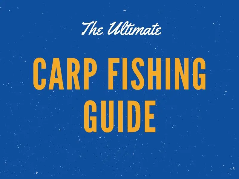 How to Catch Carp Fishing Tips