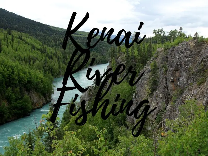 Kenai River Fishing