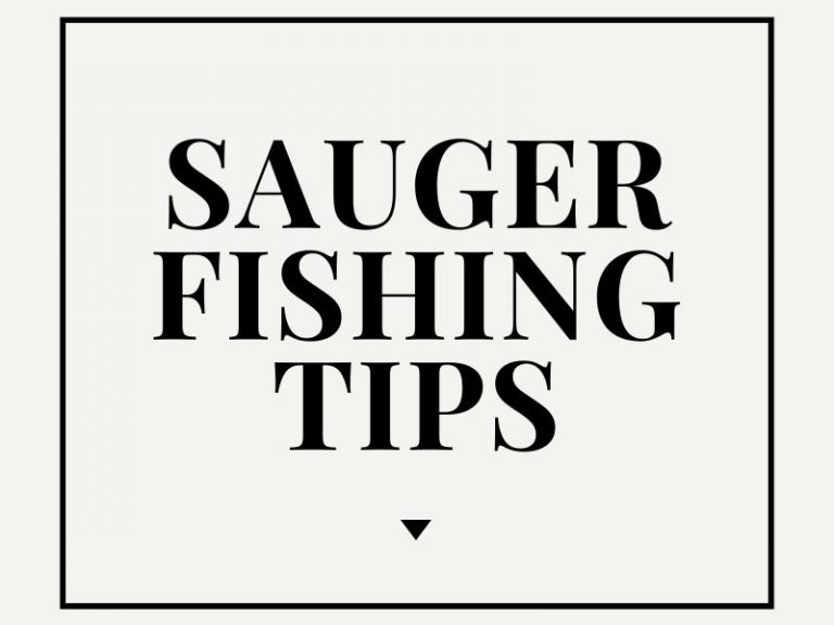 How to Catch Sauger Fishing Tips