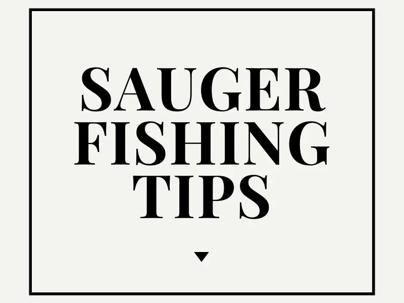 Sauger Fishing Tips