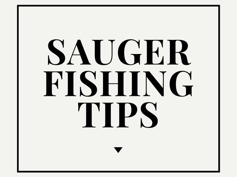 Sauger Fishing Tips