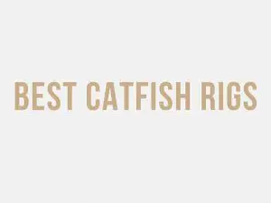 Best Catfish Rigs