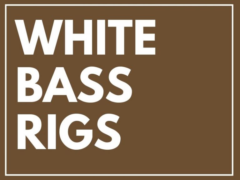 White Bass Rigs - 3 Rigs You Need To Try