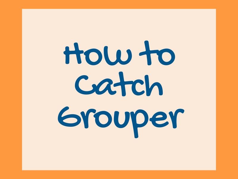 How to Catch Grouper