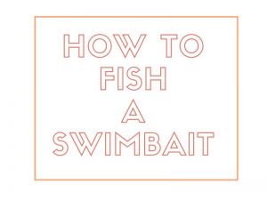 How to Fish A Swimbait